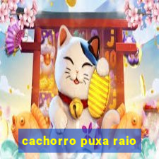 cachorro puxa raio